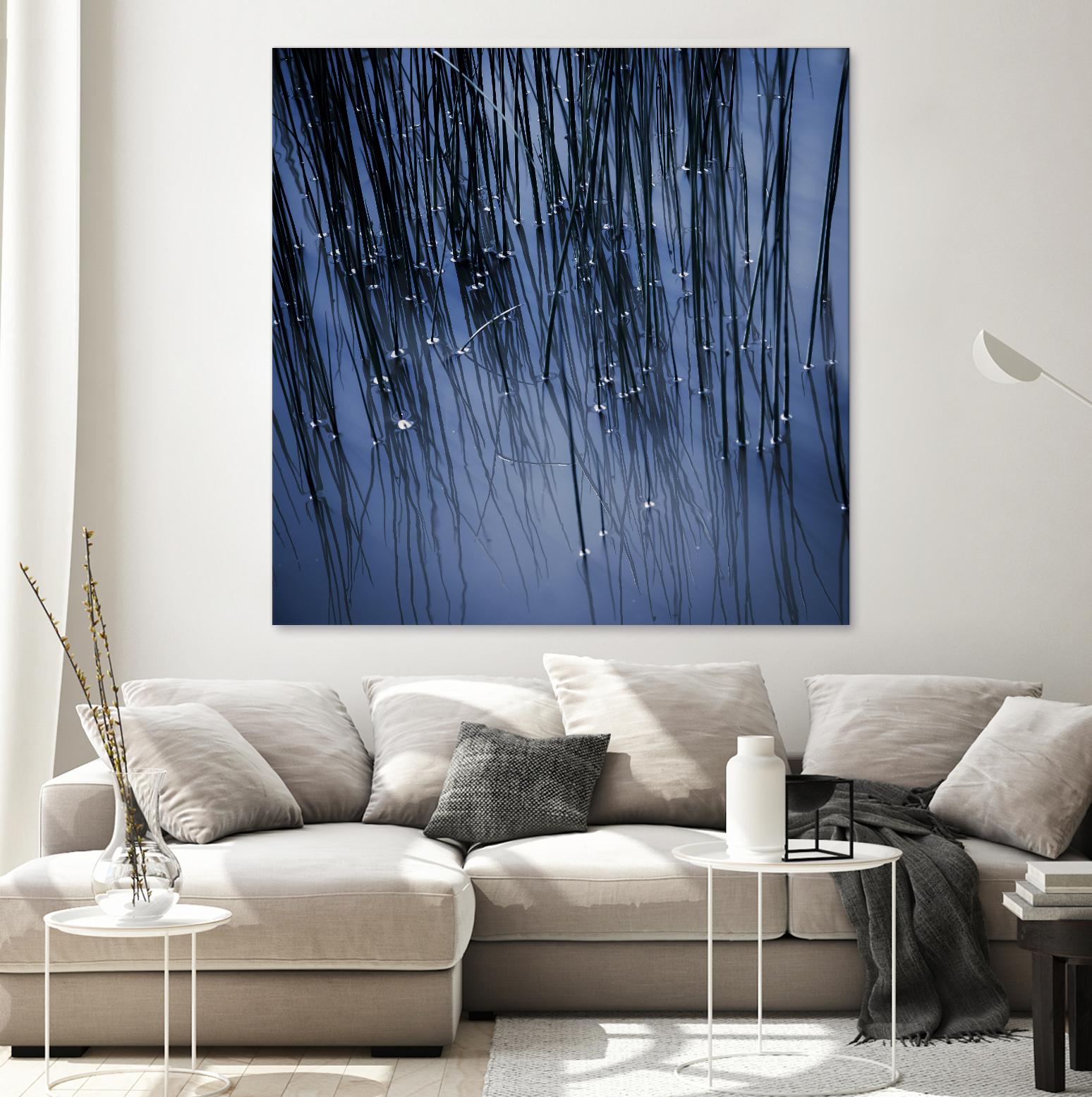 Lily Pond Blue III by Rebecca Cozart on GIANT ART - black photo art