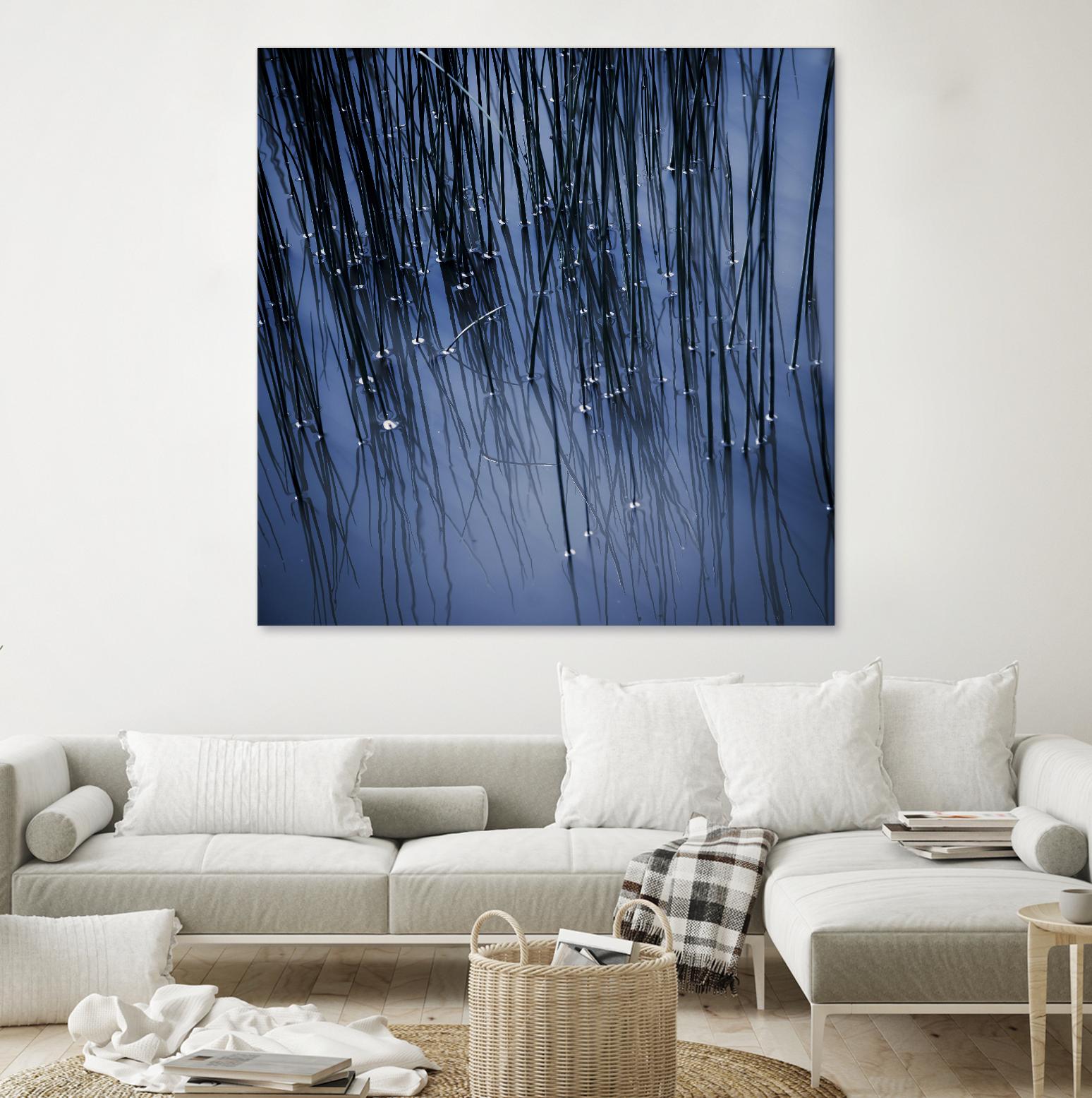 Lily Pond Blue III by Rebecca Cozart on GIANT ART - black photo art