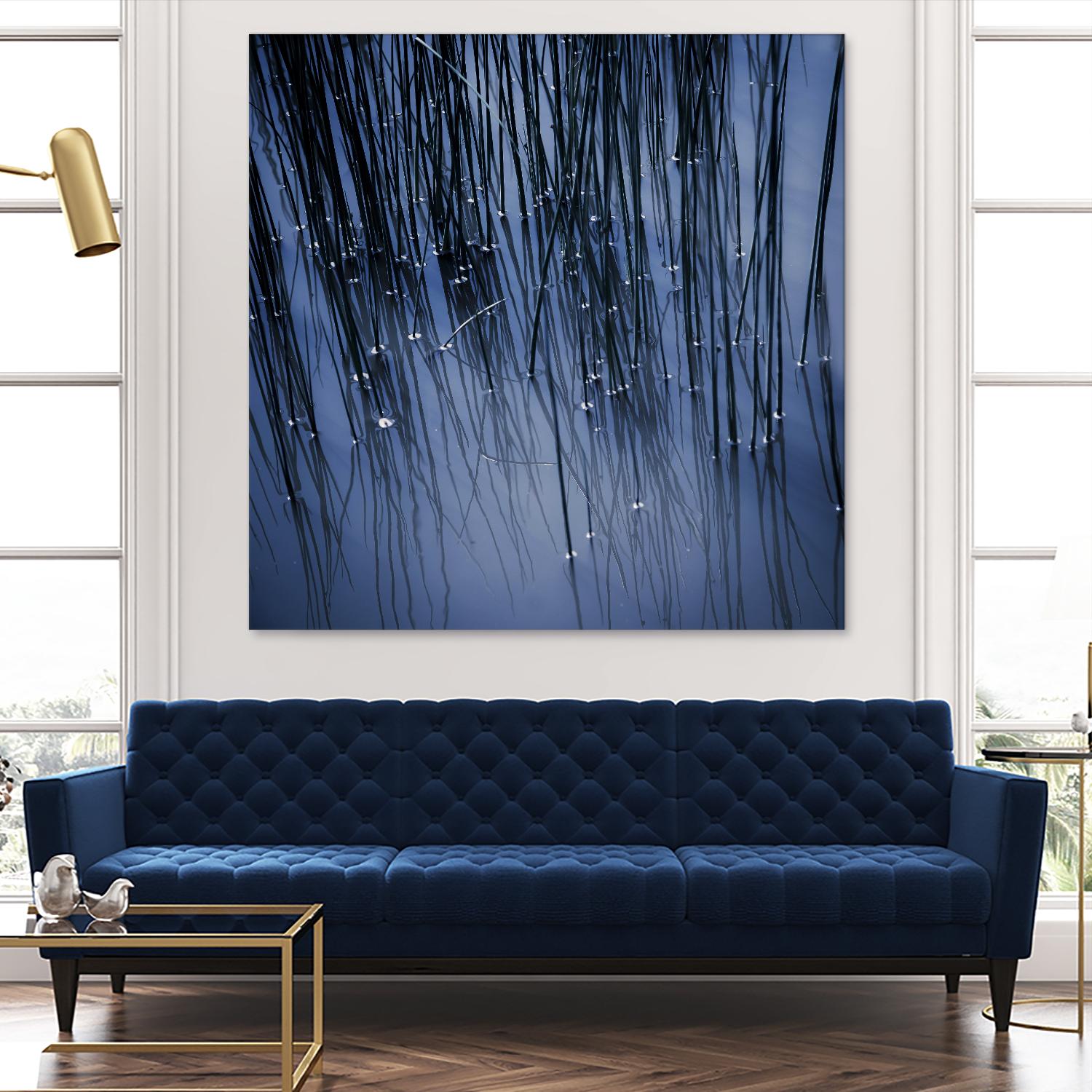 Lily Pond Blue III by Rebecca Cozart on GIANT ART - black photo art