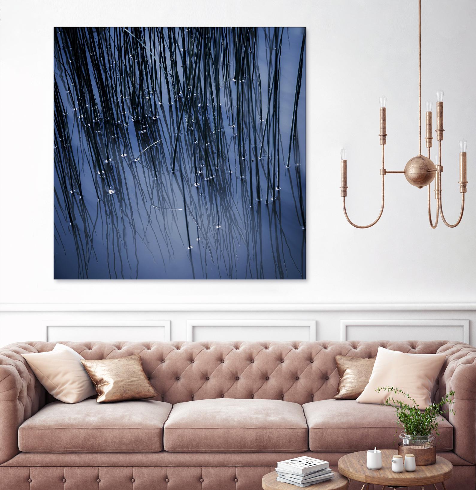 Lily Pond Blue III by Rebecca Cozart on GIANT ART - black photo art