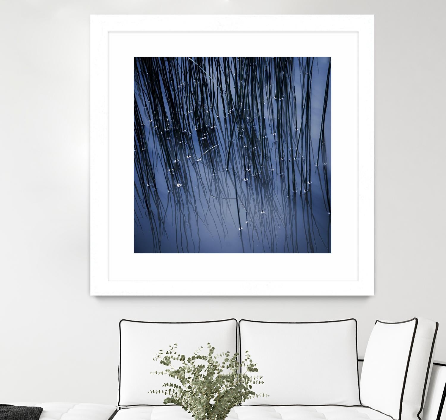 Lily Pond Blue III by Rebecca Cozart on GIANT ART - black photo art