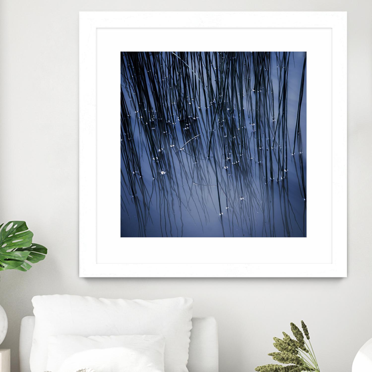 Lily Pond Blue III by Rebecca Cozart on GIANT ART - black photo art