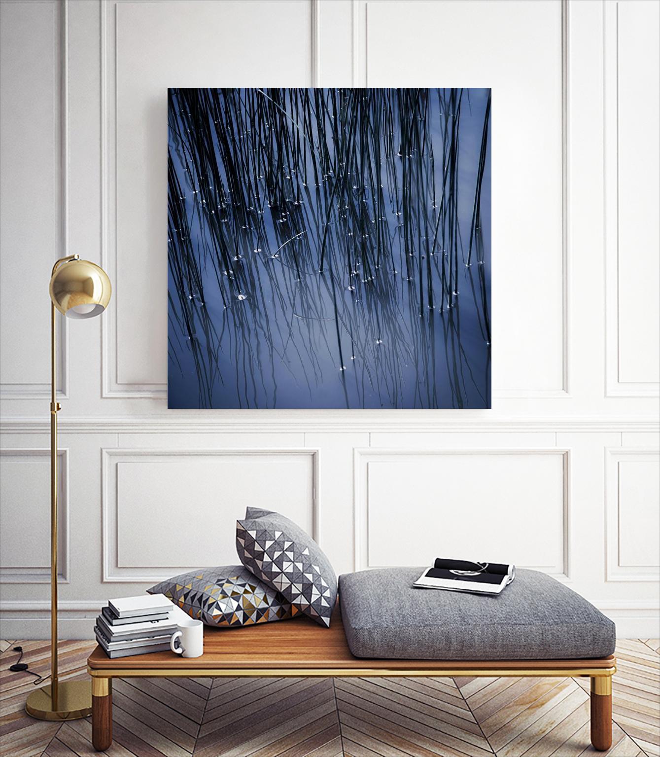 Lily Pond Blue III by Rebecca Cozart on GIANT ART - black photo art