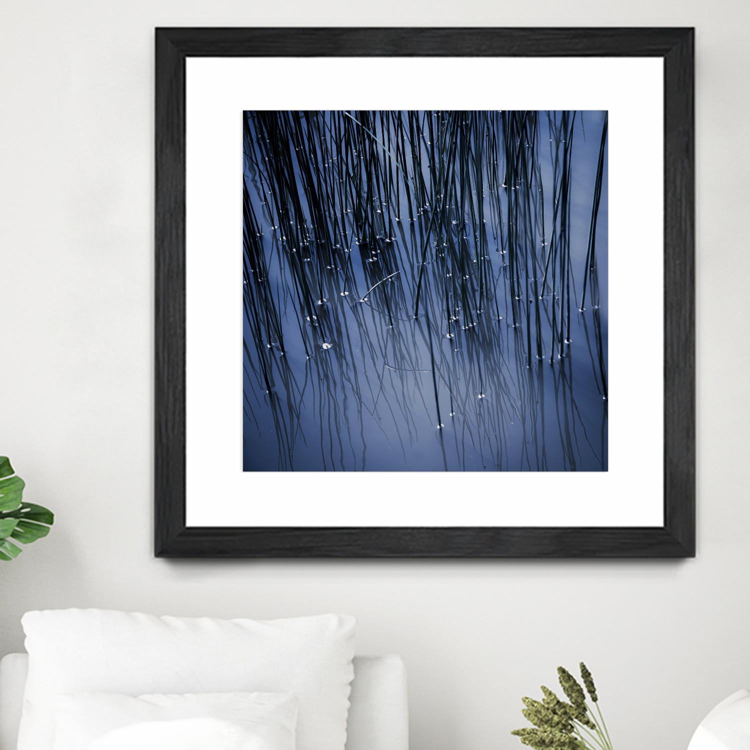 Lily Pond Blue III by Rebecca Cozart on GIANT ART - black photo art
