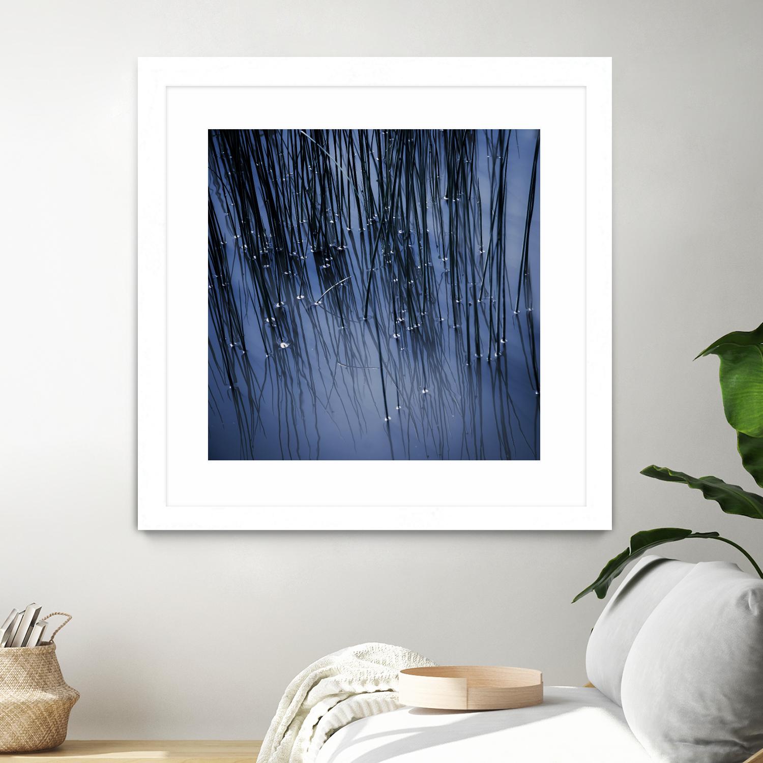 Lily Pond Blue III by Rebecca Cozart on GIANT ART - black photo art