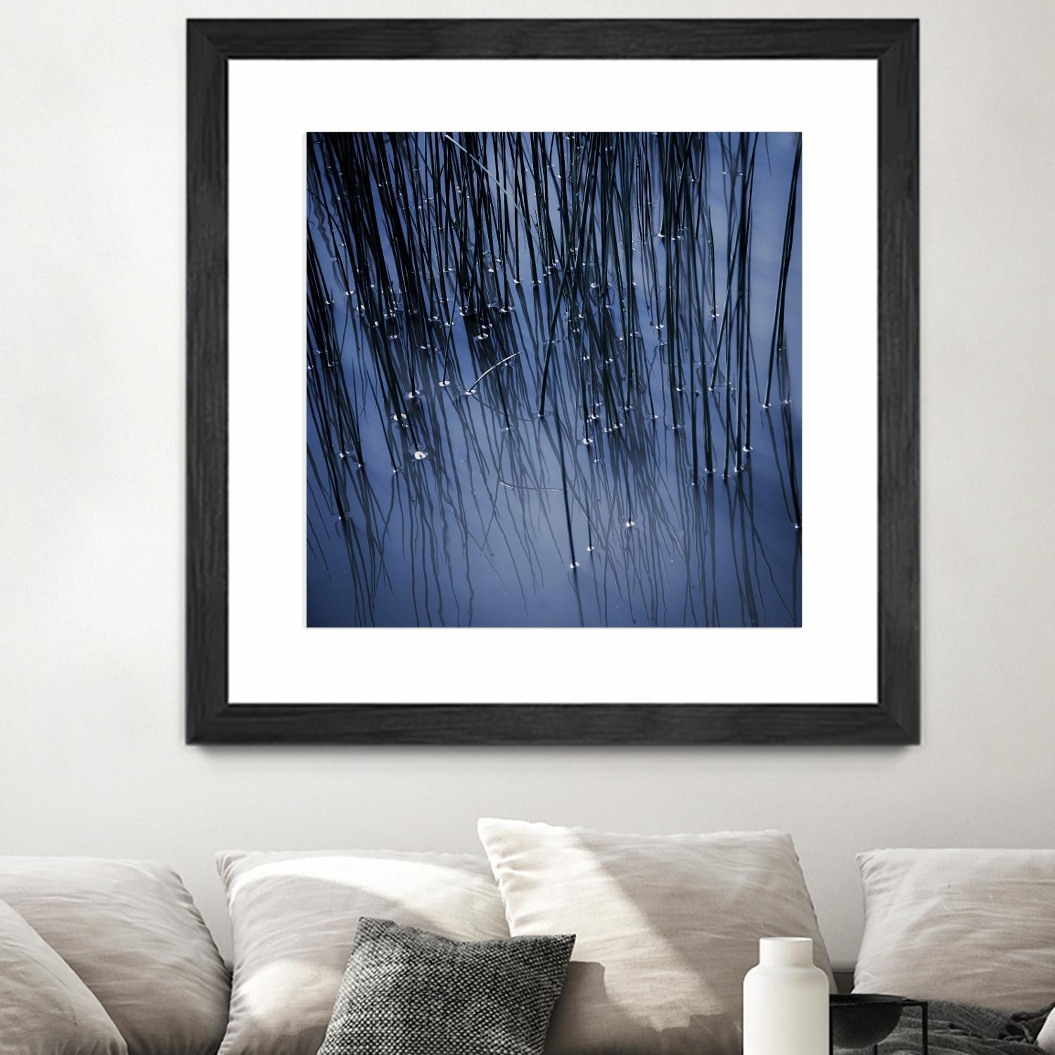Lily Pond Blue III by Rebecca Cozart on GIANT ART - black photo art