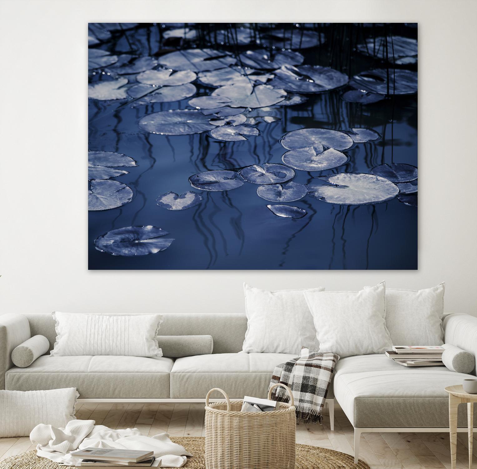Lili Pond Blue VII by Marc Schacter on GIANT ART - grey photo art