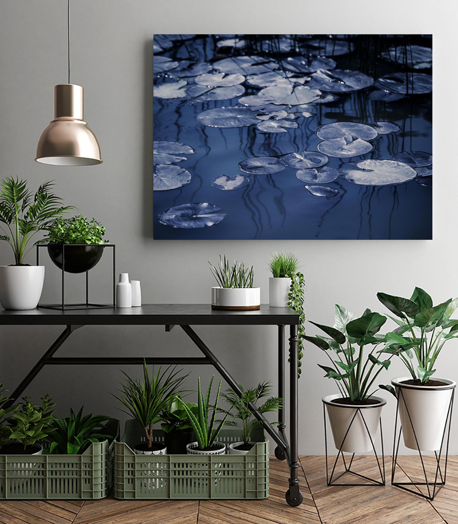 Lili Pond Blue VII by Marc Schacter on GIANT ART - grey photo art