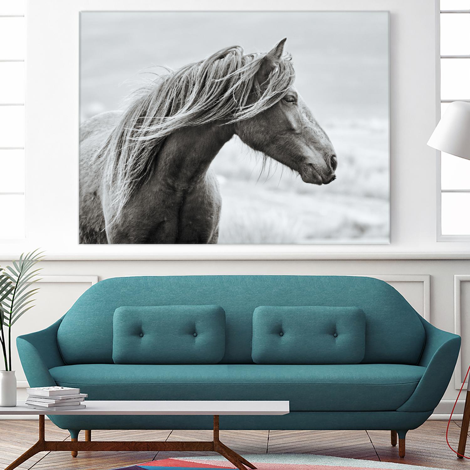 The Fell by Esther Marie on GIANT ART - white animals horse