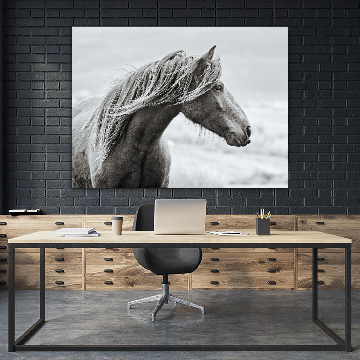 The Fell by Esther Marie on GIANT ART - white animals horse