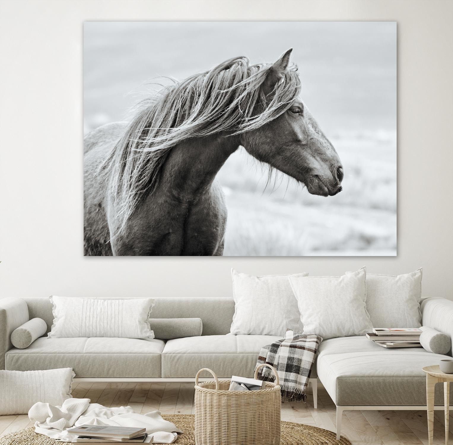 The Fell by Esther Marie on GIANT ART - white animals horse