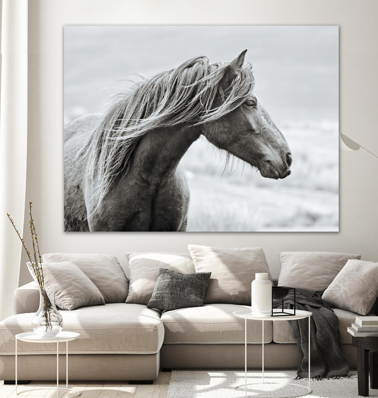 The Fell by Esther Marie on GIANT ART - white animals horse