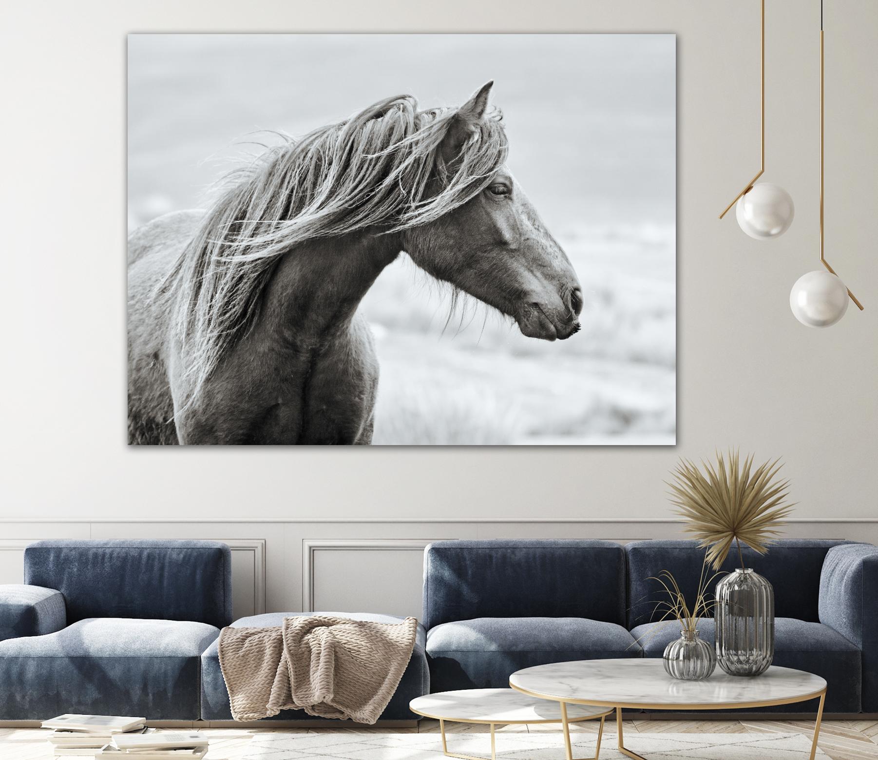 The Fell by Esther Marie on GIANT ART - white animals horse