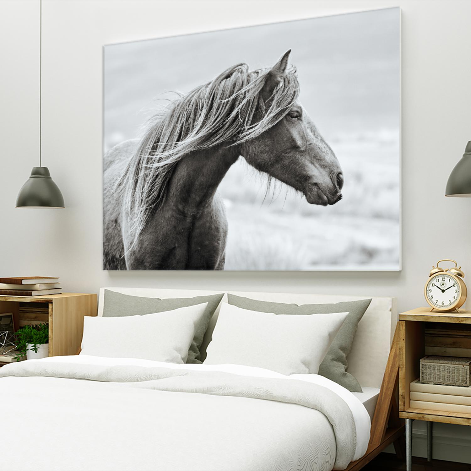 The Fell by Esther Marie on GIANT ART - white animals horse