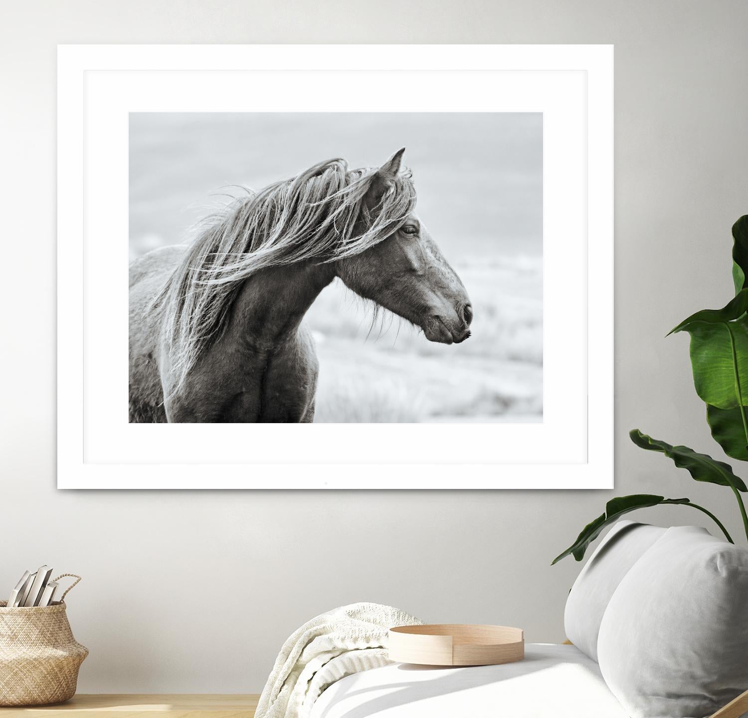 The Fell by Esther Marie on GIANT ART - white animals horse
