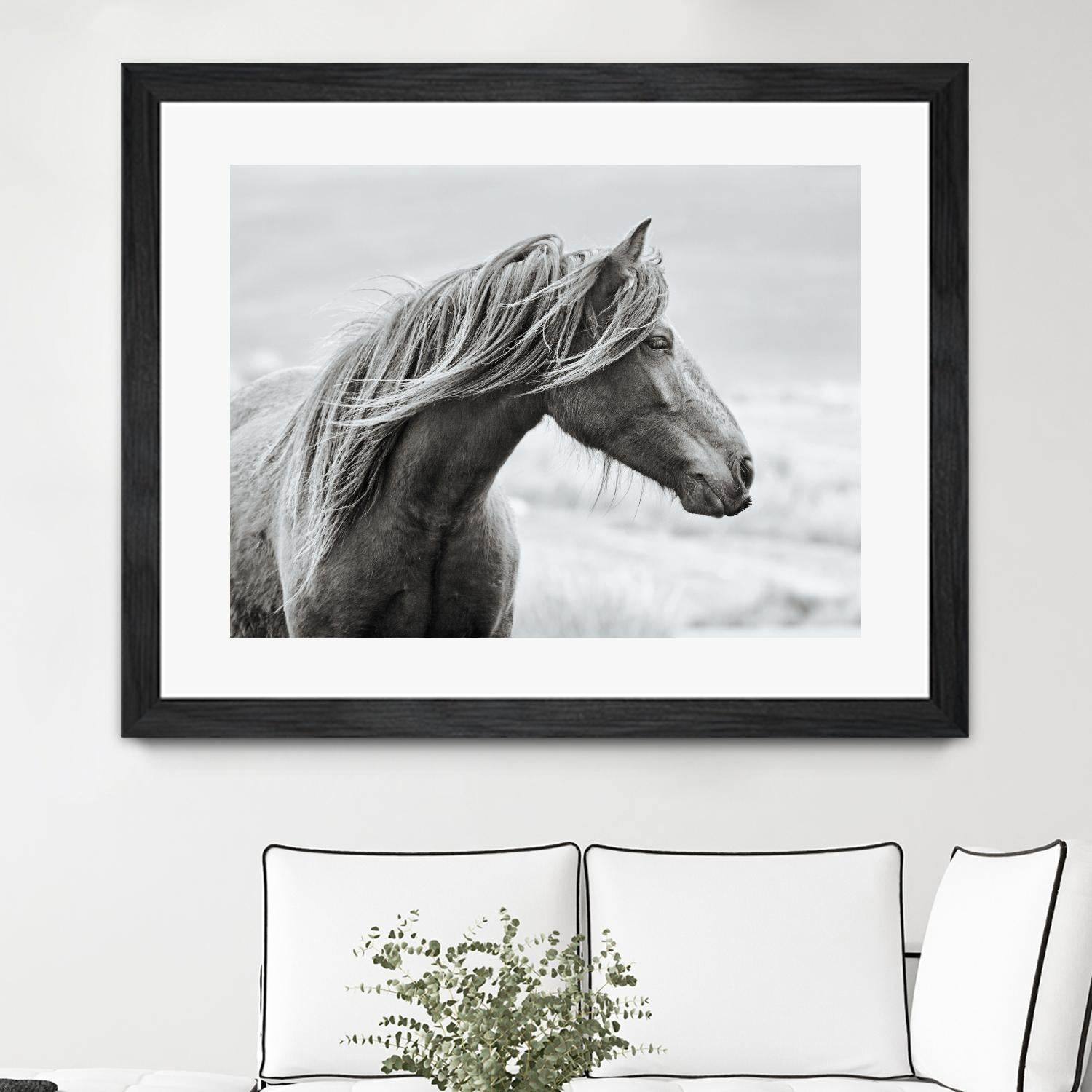 The Fell by Esther Marie on GIANT ART - white animals horse