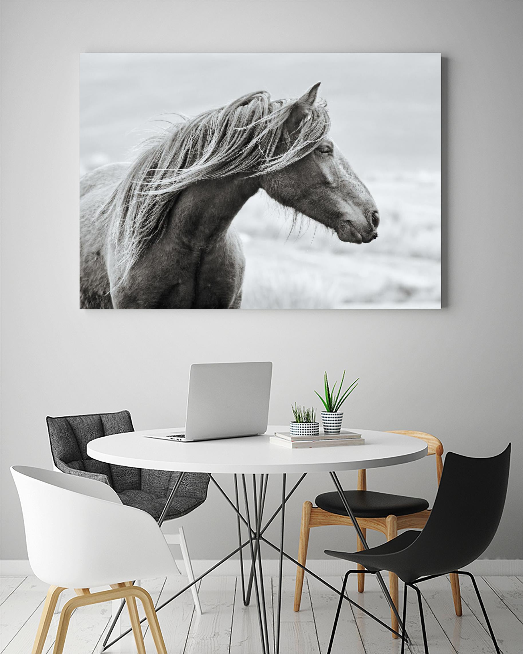 The Fell by Esther Marie on GIANT ART - white animals horse