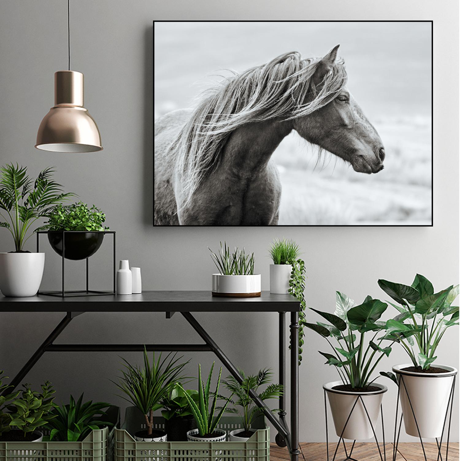 The Fell by Esther Marie on GIANT ART - white animals horse