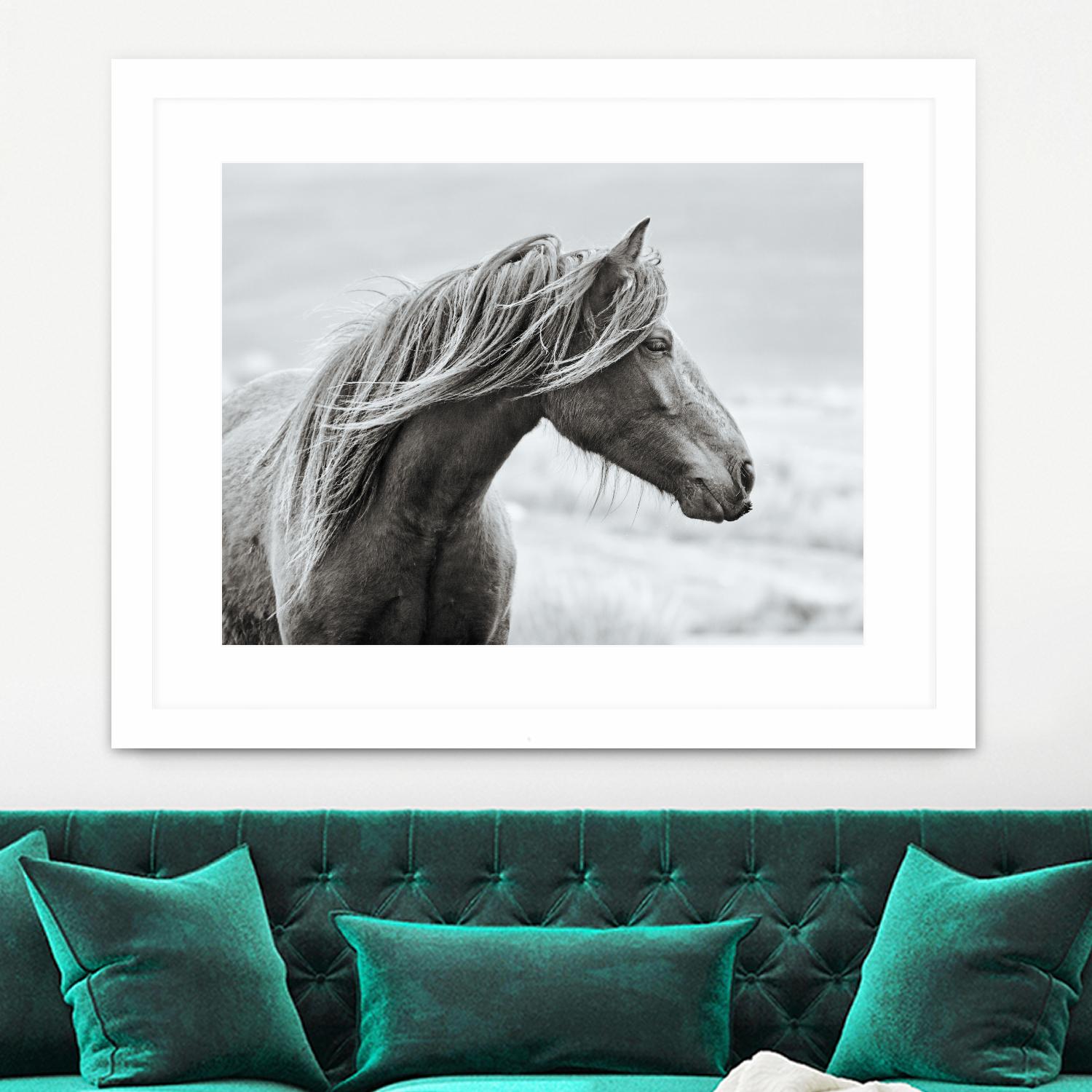 The Fell by Esther Marie on GIANT ART - white animals horse