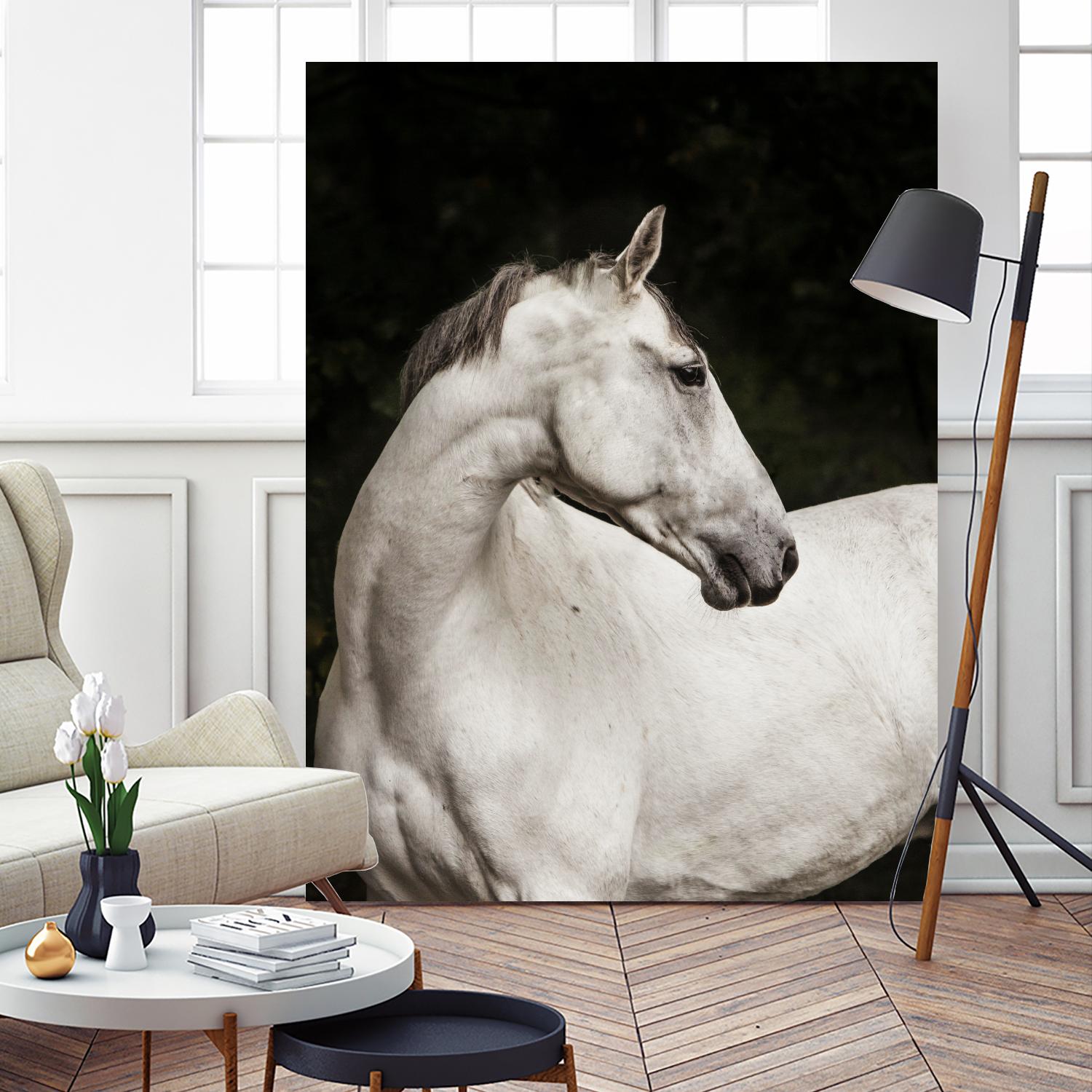 Elegant by Esther Marie on GIANT ART - white black & white horse