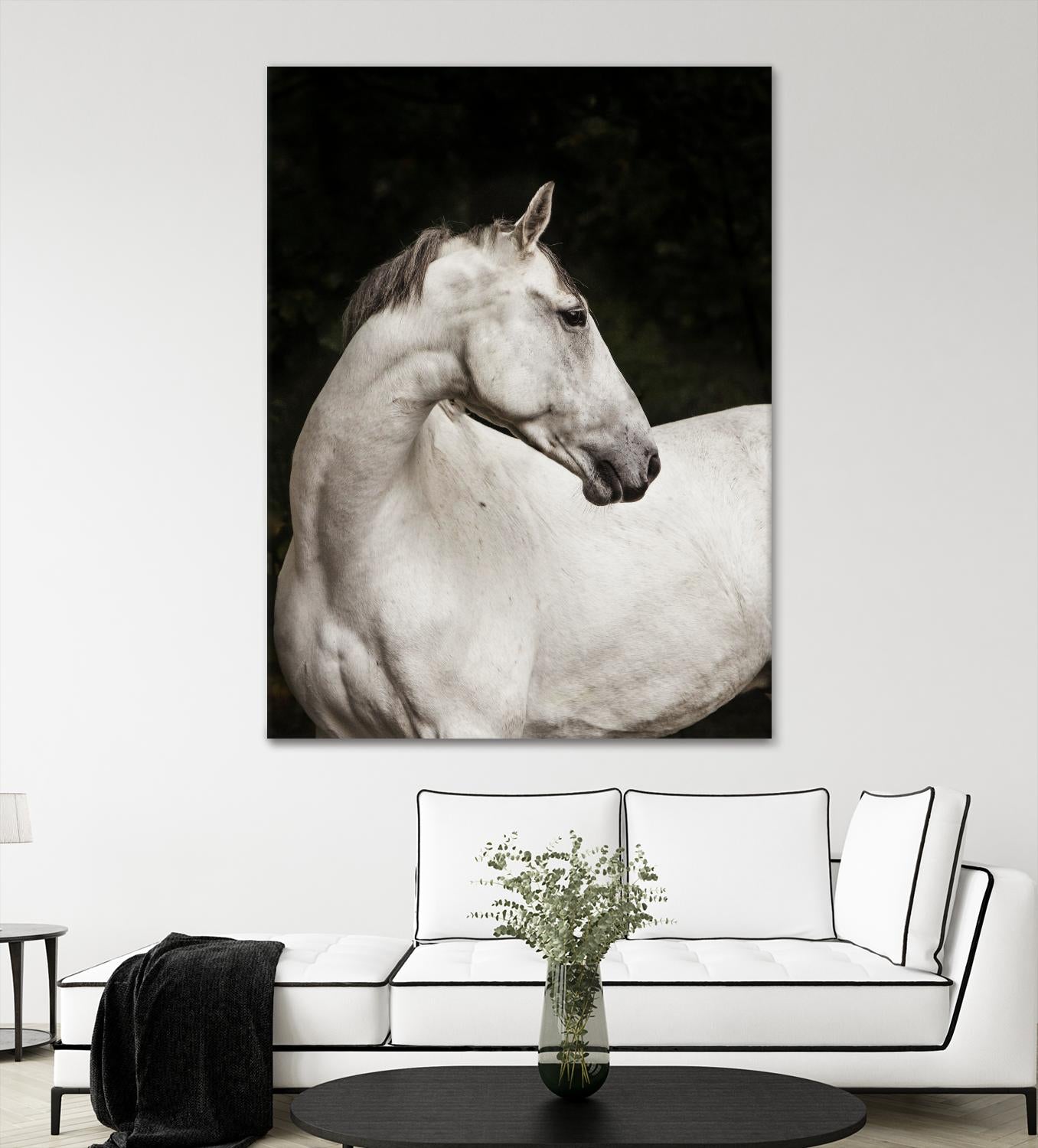 Elegant by Esther Marie on GIANT ART - white black & white horse