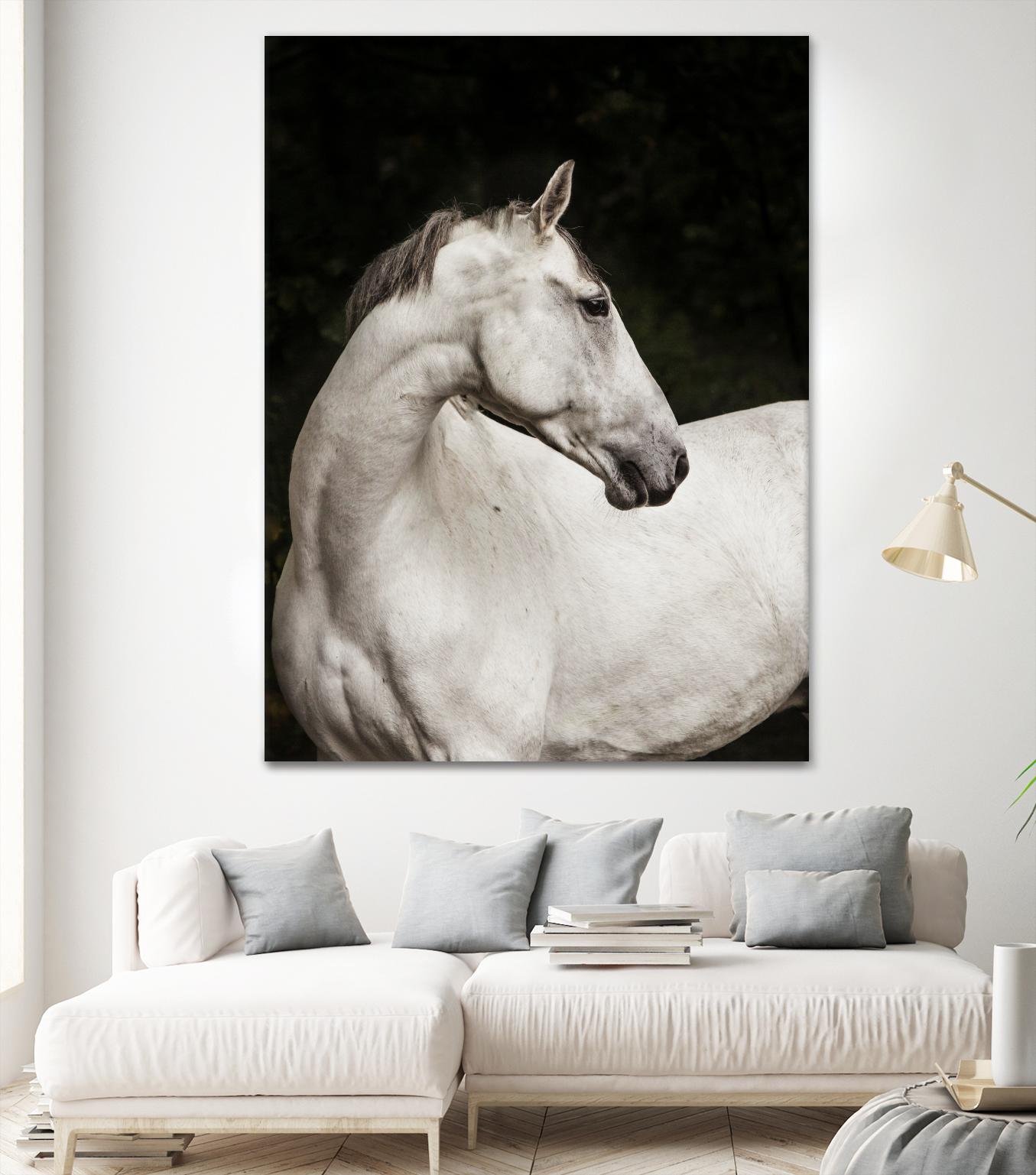 Elegant by Esther Marie on GIANT ART - white black & white horse