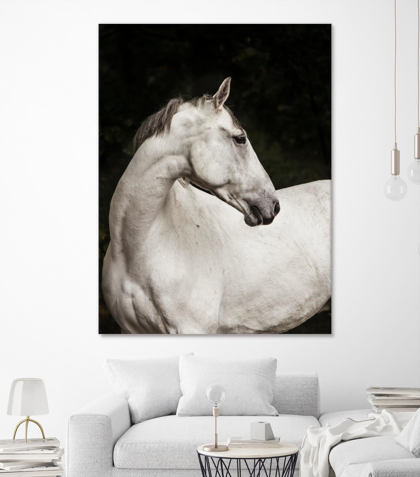 Elegant by Esther Marie on GIANT ART - white black & white horse