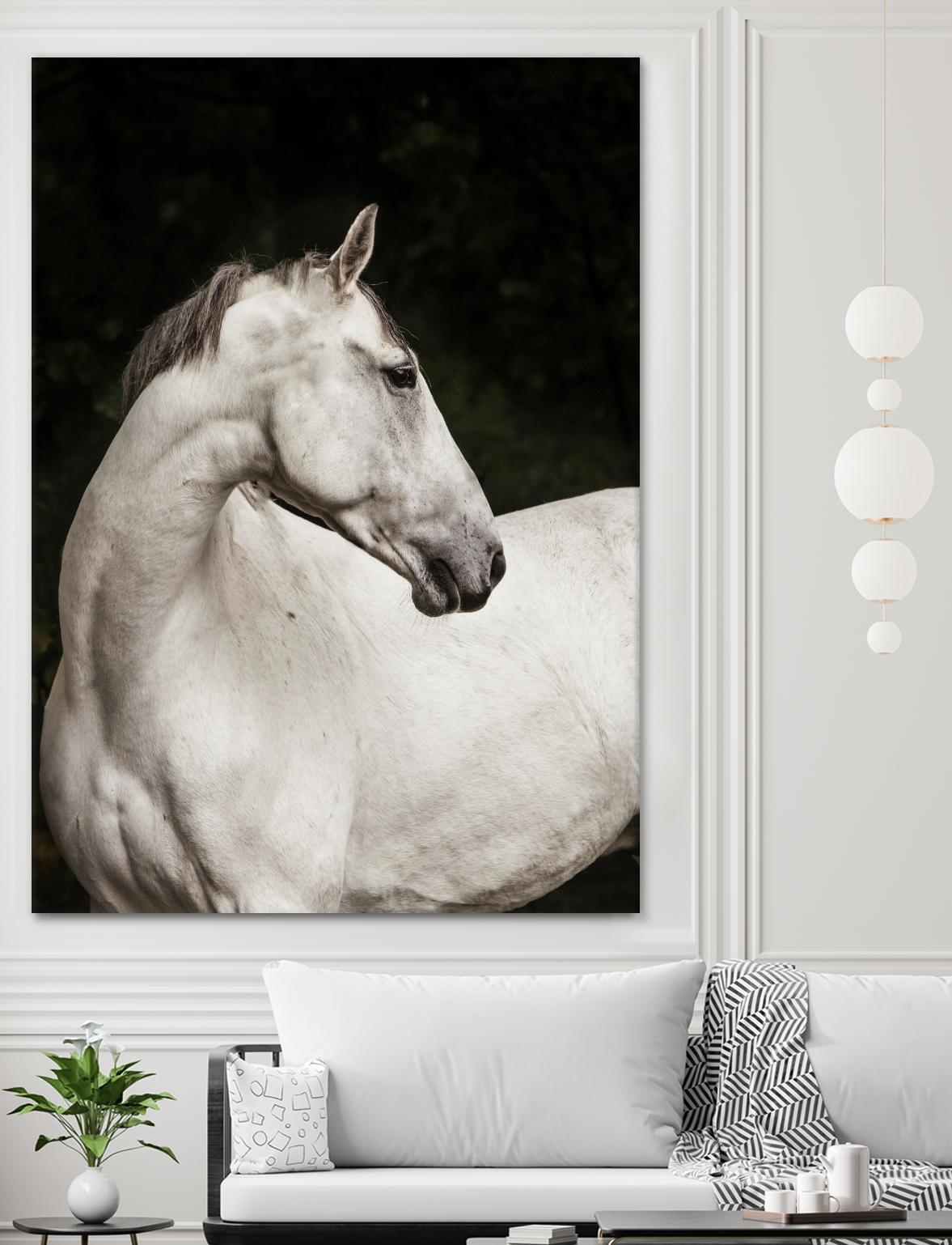 Elegant by Esther Marie on GIANT ART - white black & white horse