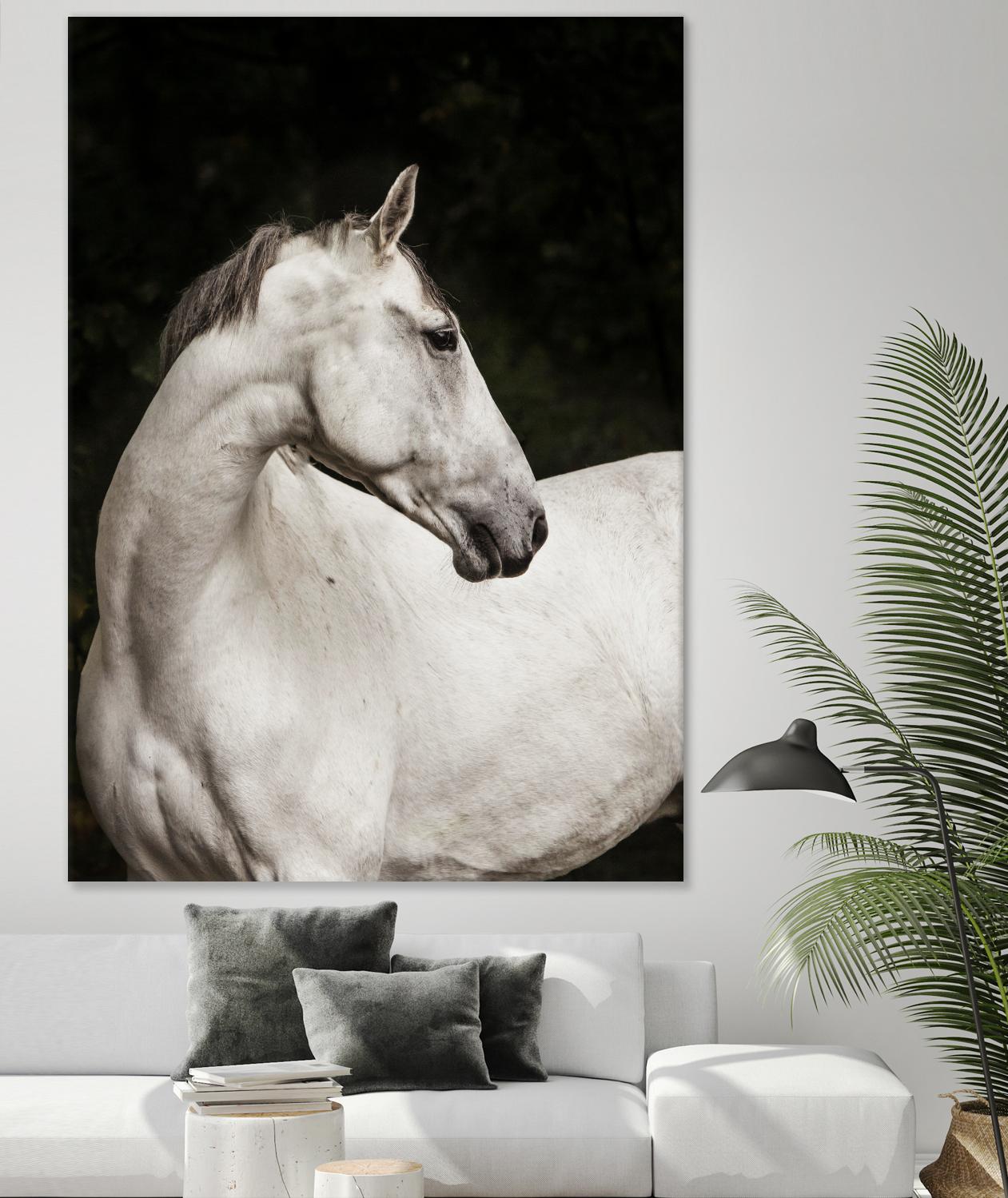 Elegant by Esther Marie on GIANT ART - white black & white horse