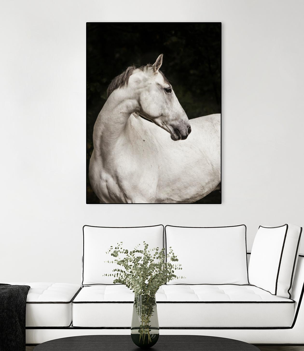 Elegant by Esther Marie on GIANT ART - white black & white horse