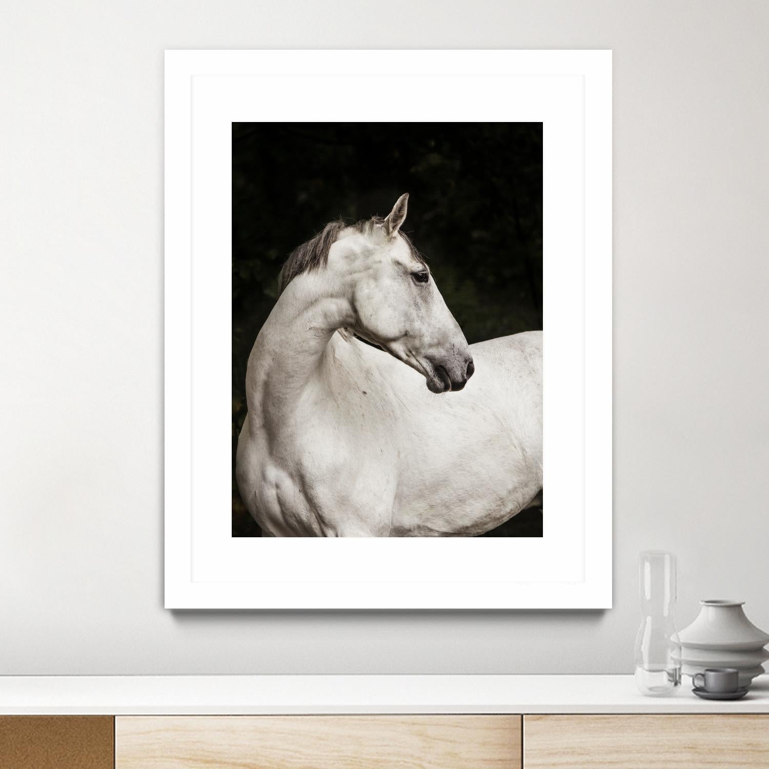 Elegant by Esther Marie on GIANT ART - white black & white horse