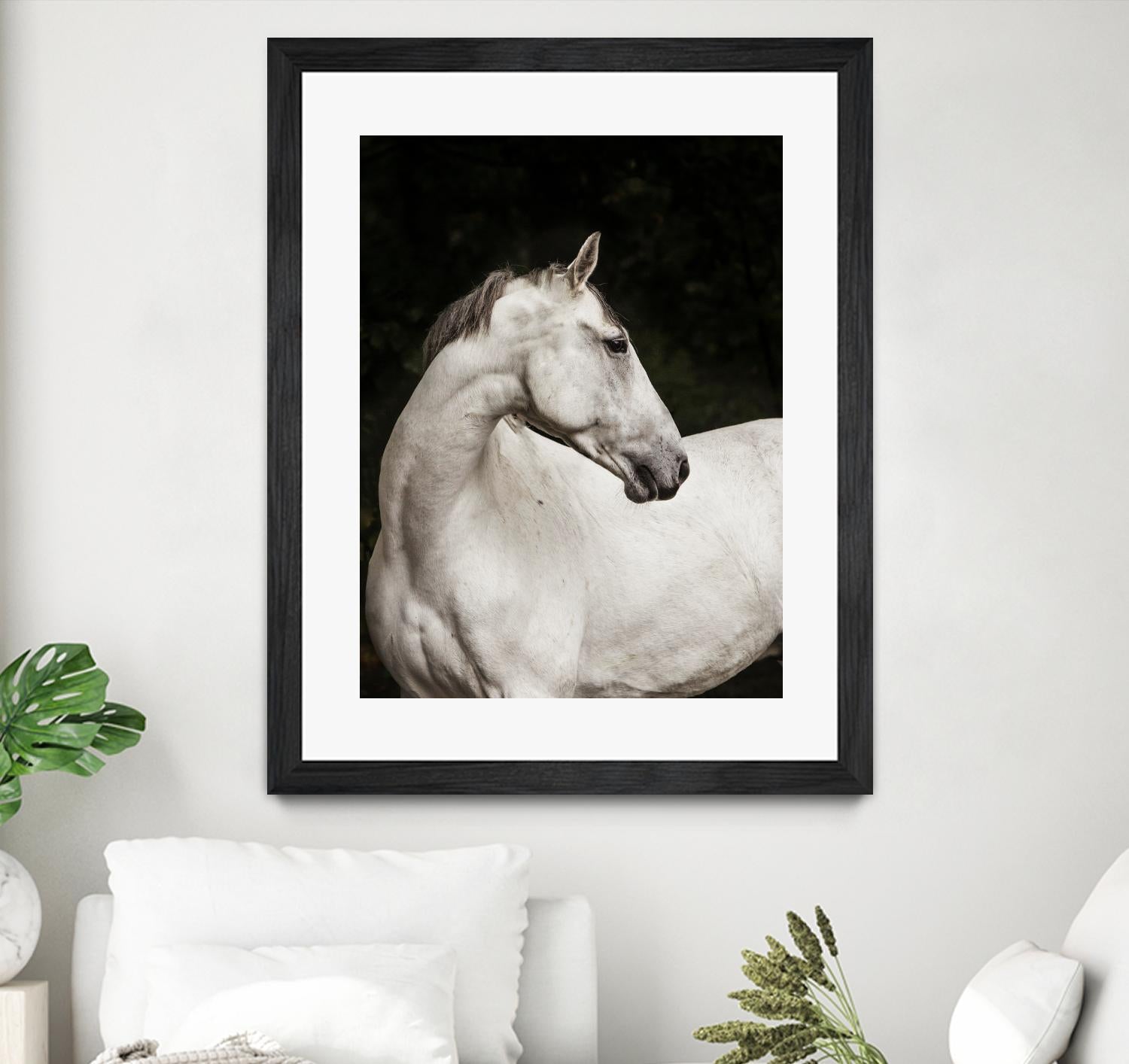 Elegant by Esther Marie on GIANT ART - white black & white horse