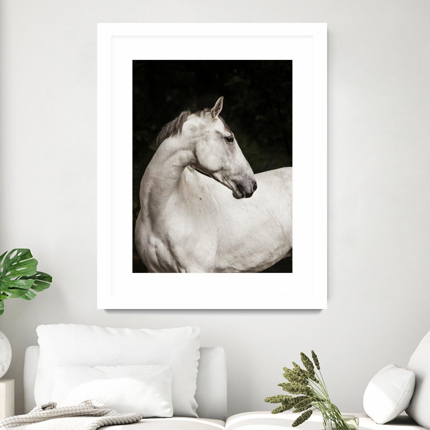 Elegant by Esther Marie on GIANT ART - white black & white horse