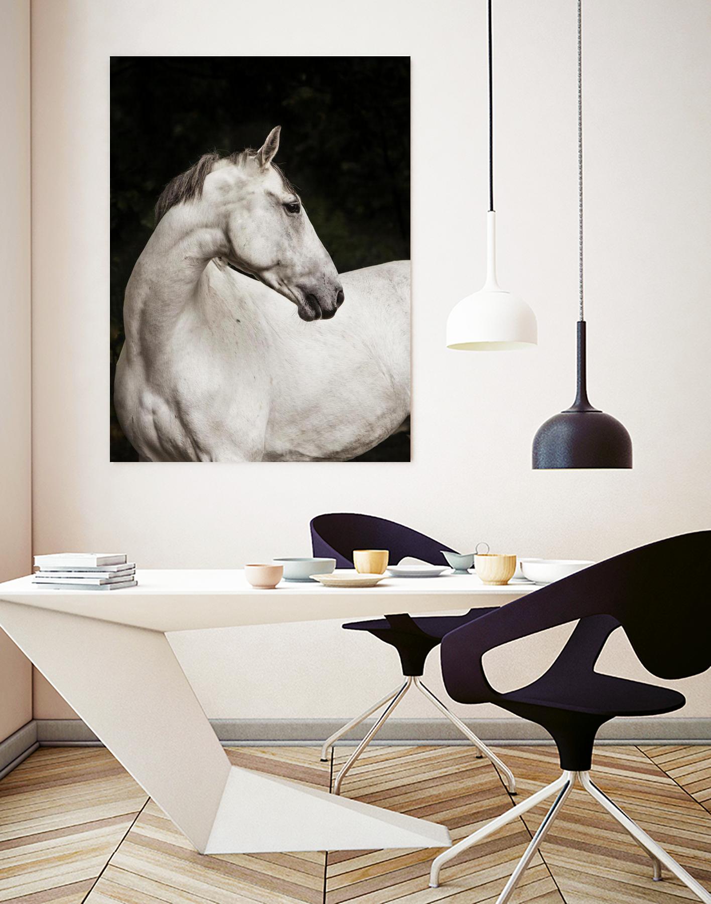 Elegant by Esther Marie on GIANT ART - white black & white horse