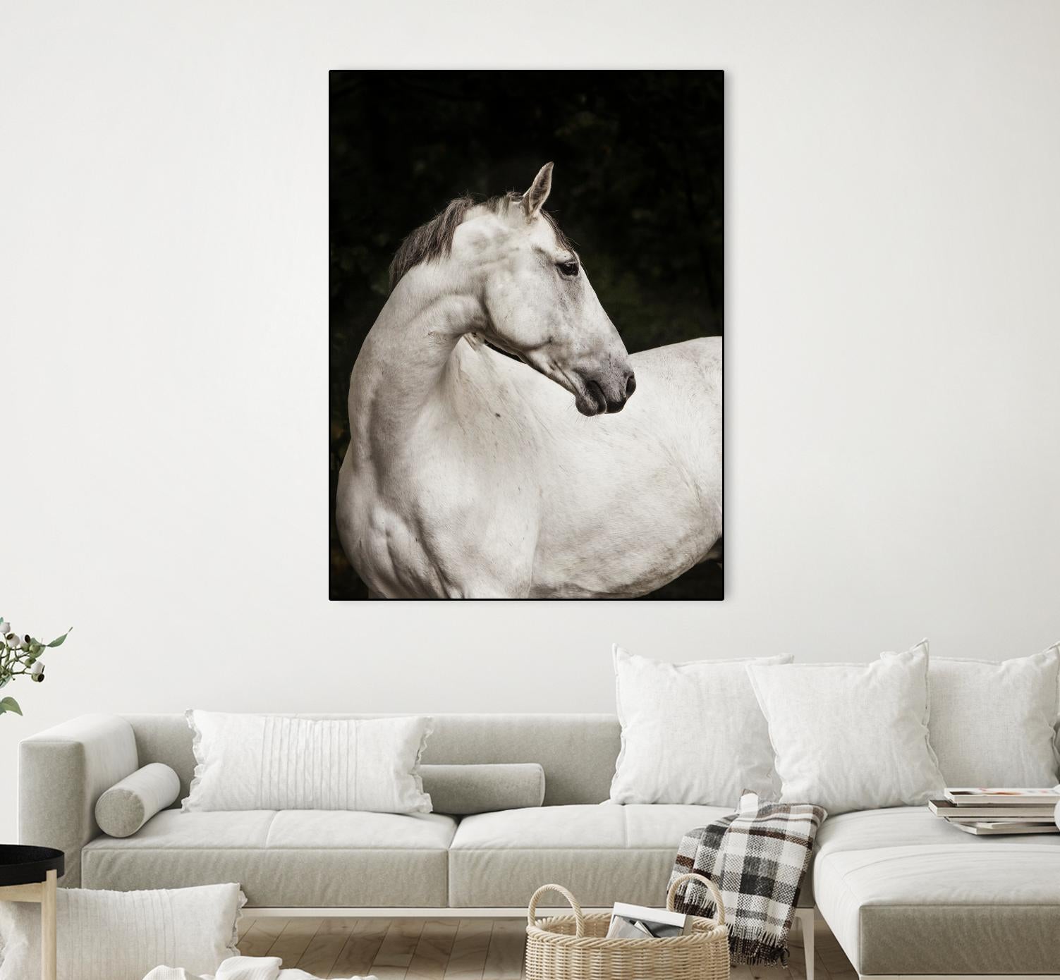 Elegant by Esther Marie on GIANT ART - white black & white horse