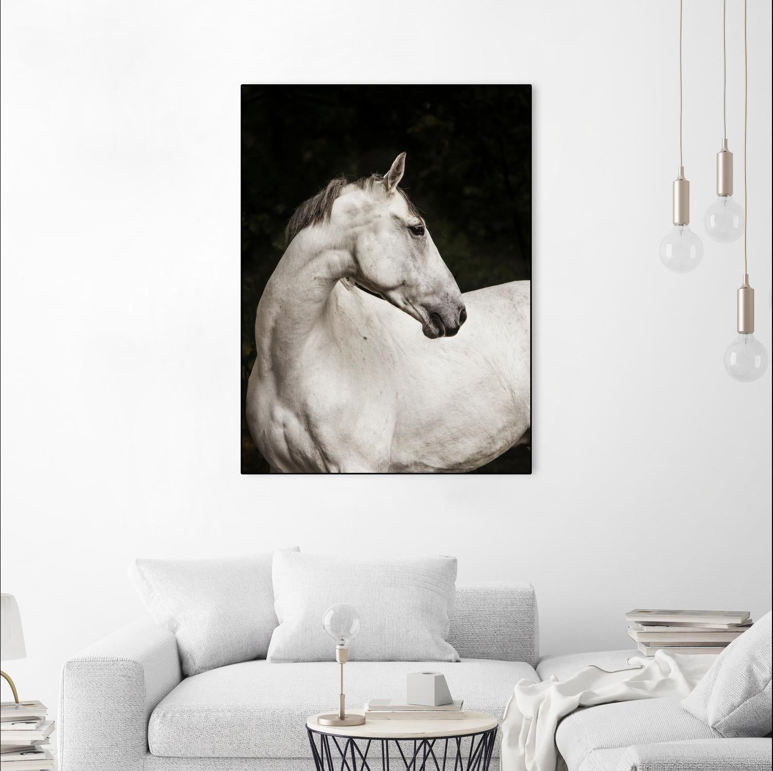 Elegant by Esther Marie on GIANT ART - white black & white horse