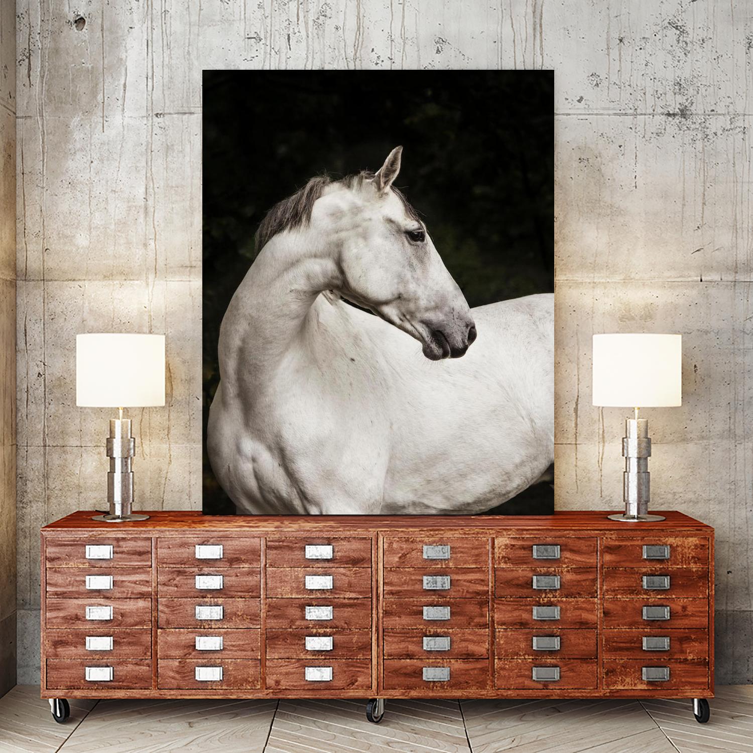 Elegant by Esther Marie on GIANT ART - white black & white horse