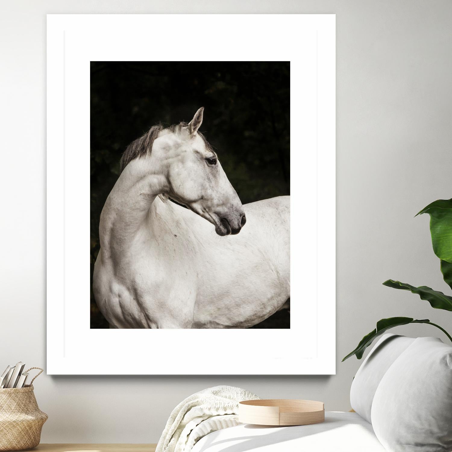 Elegant by Esther Marie on GIANT ART - white black & white horse