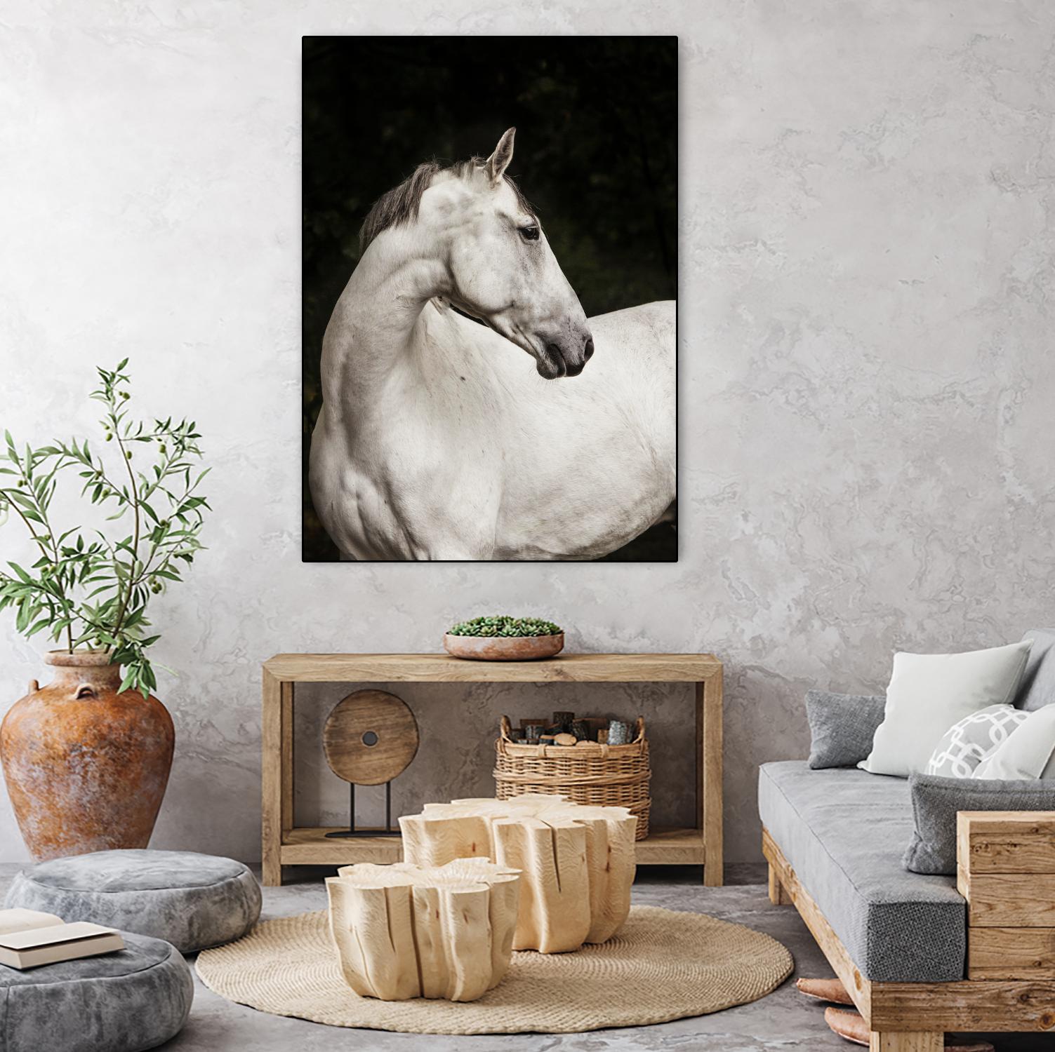 Elegant by Esther Marie on GIANT ART - white black & white horse