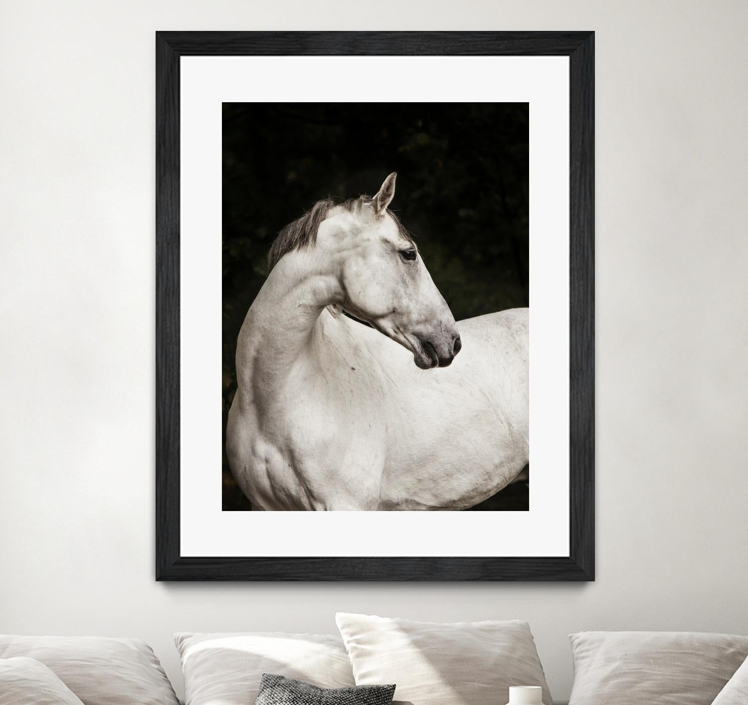 Elegant by Esther Marie on GIANT ART - white black & white horse