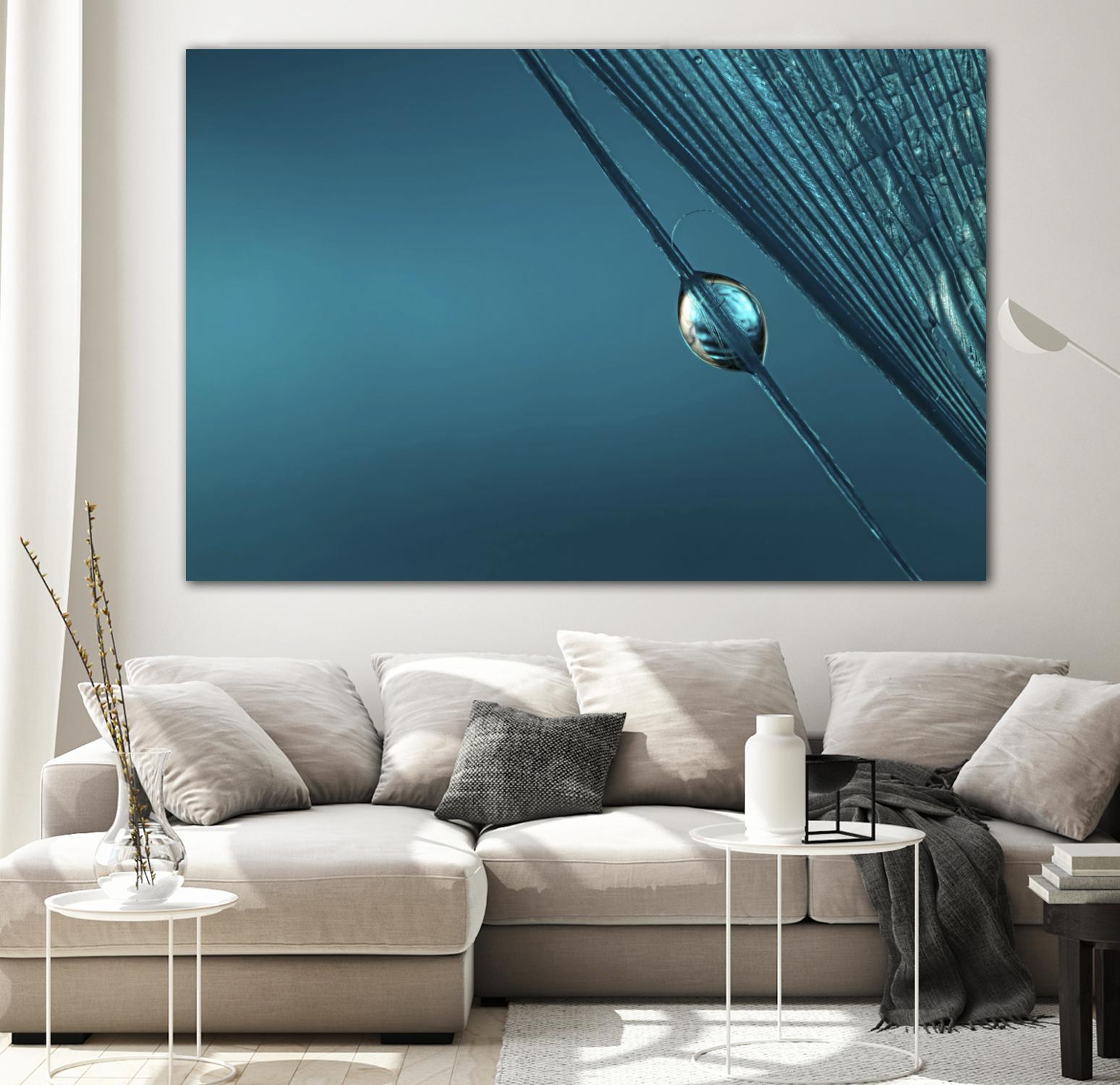 Blue by Sharon Johnstone on GIANT ART - blue photo art