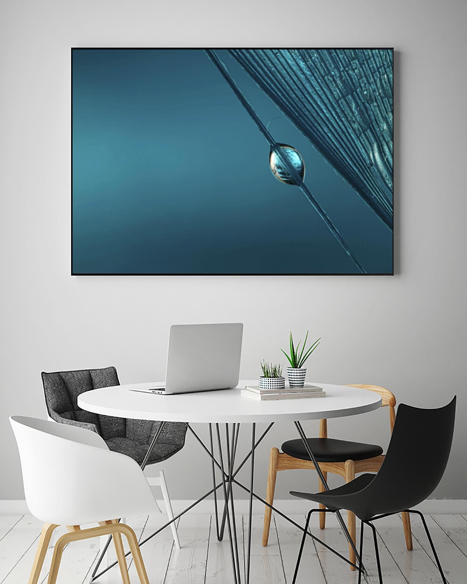 Blue by Sharon Johnstone on GIANT ART - blue photo art