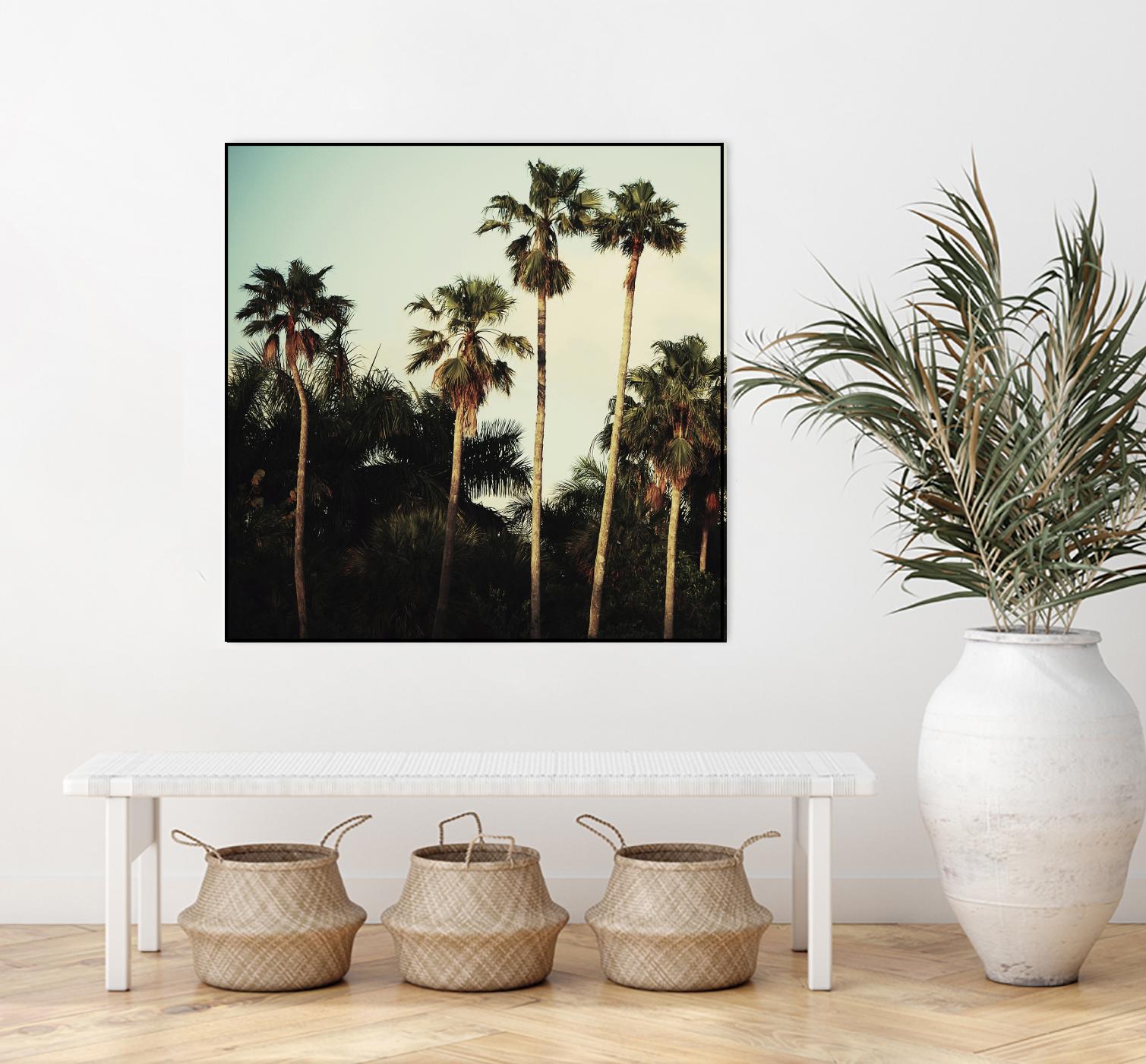 Beverly Hills I by Chelsea Victoria on GIANT ART - green botanical palm tree