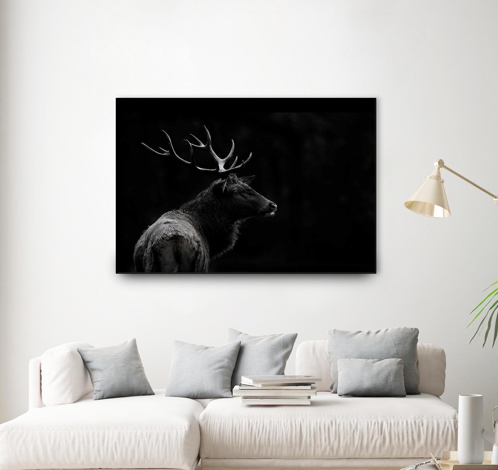 The Deer Soul by PEI 1X on GIANT ART - white black & white deer