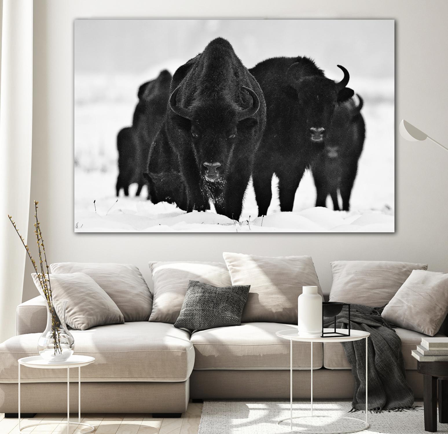 Europeans Bizons by Crepinsek 1X on GIANT ART - black animals