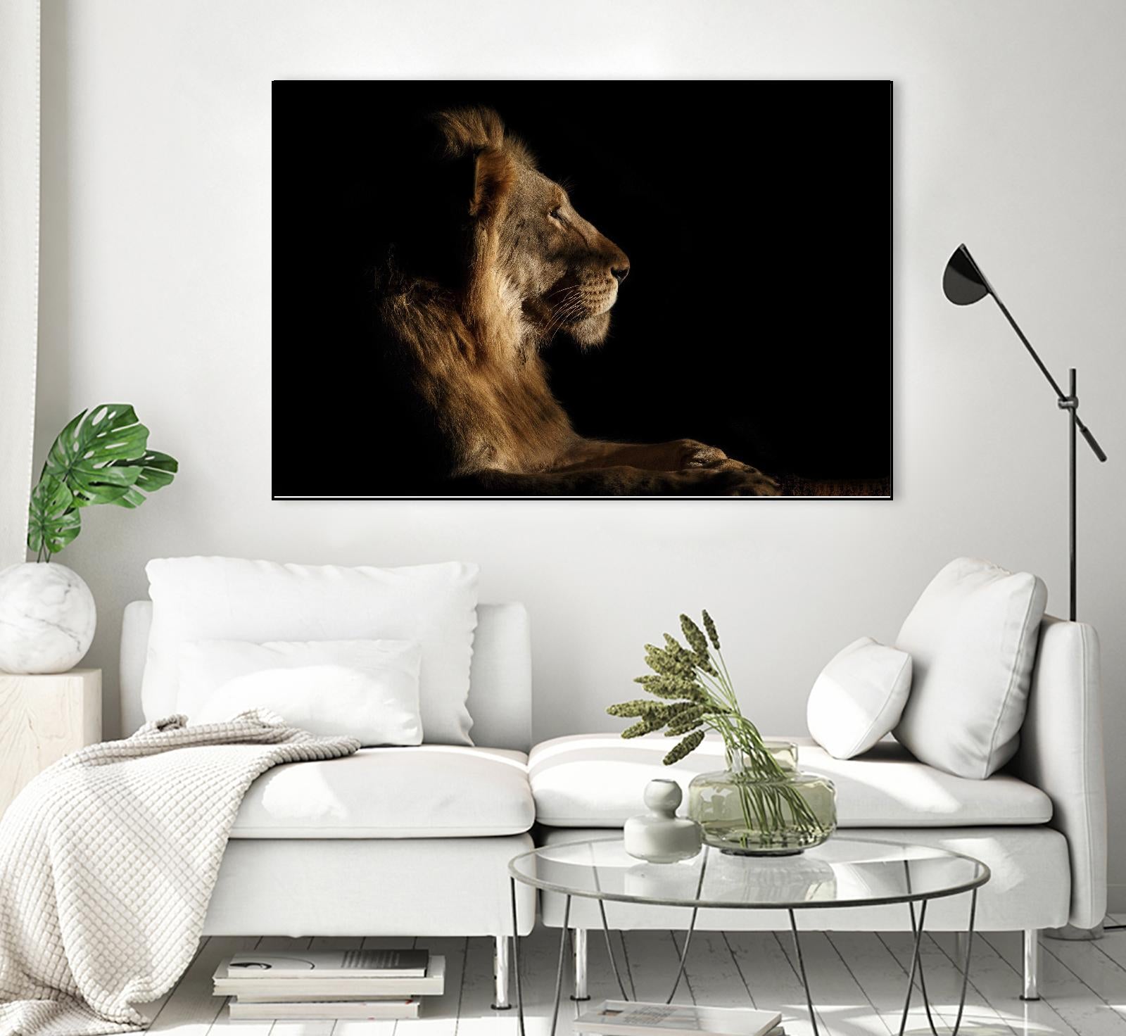 Royal Meeting in the Night by Hemb 1X on GIANT ART - black animals