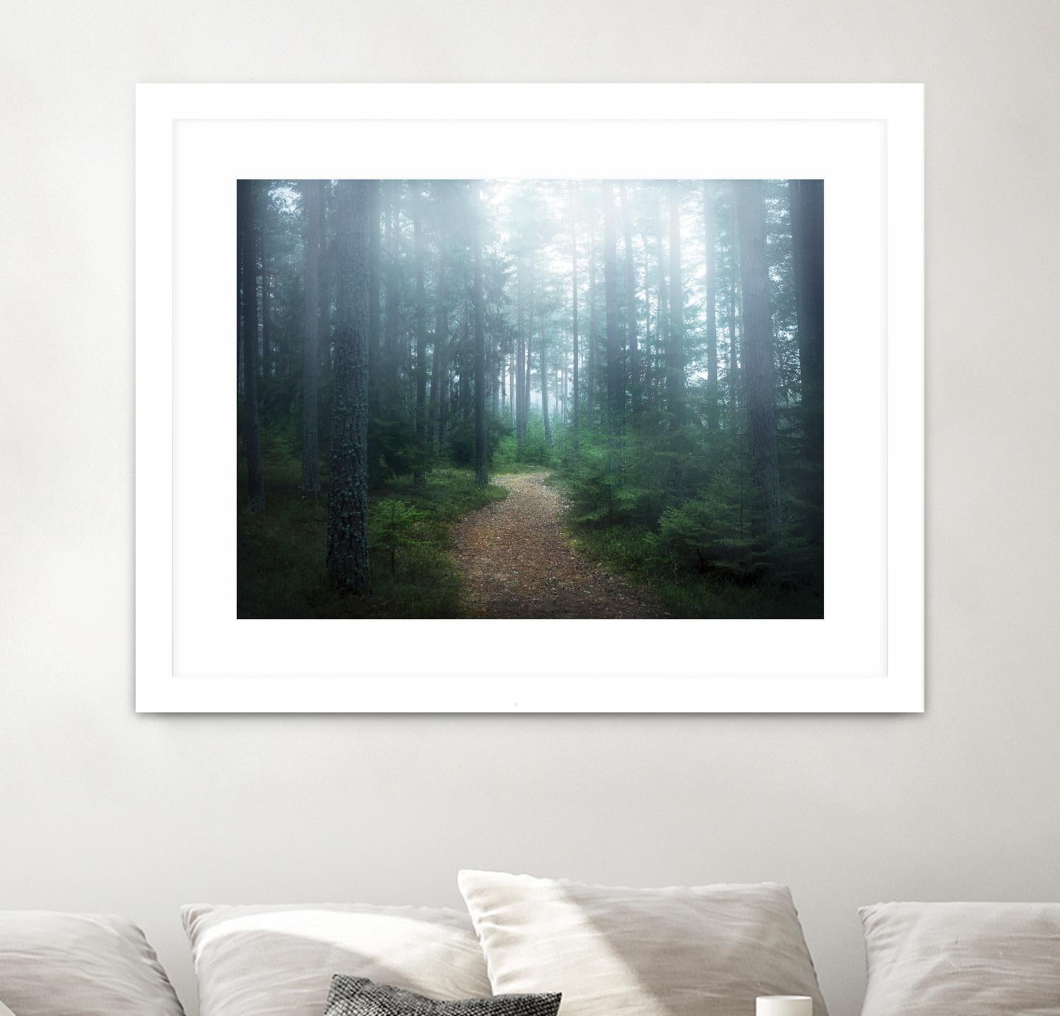 Lindsten - The forest of secrets by 1X on GIANT ART - brown photo art