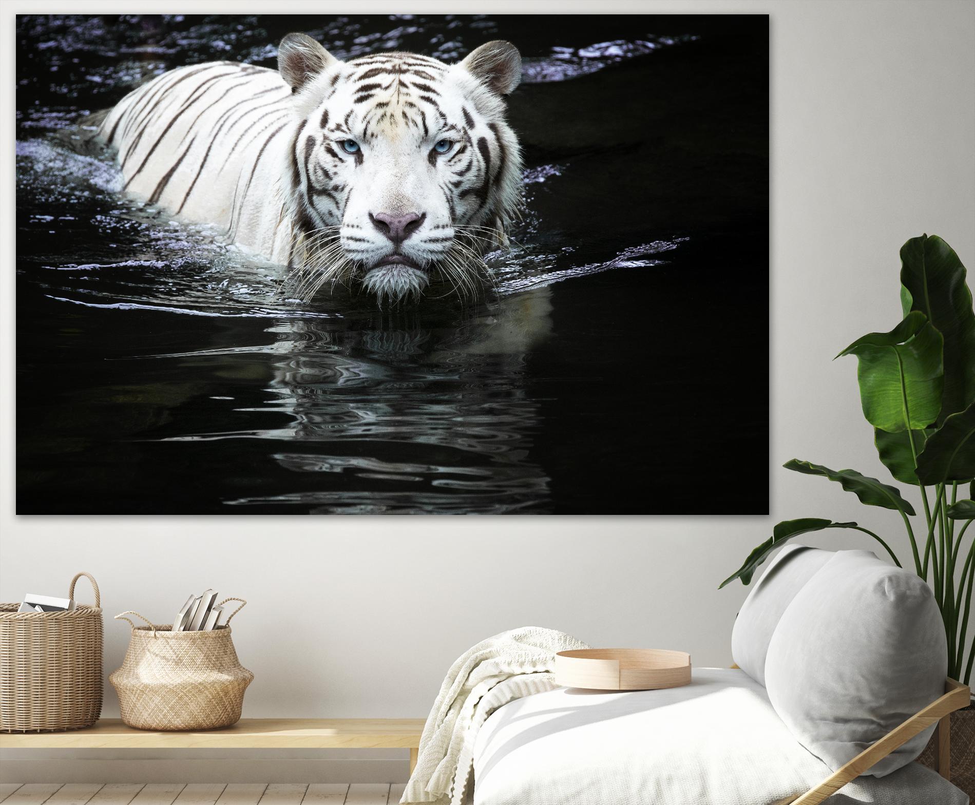 Doyle - Looking at Me Looking at You by 1X on GIANT ART - white photo art