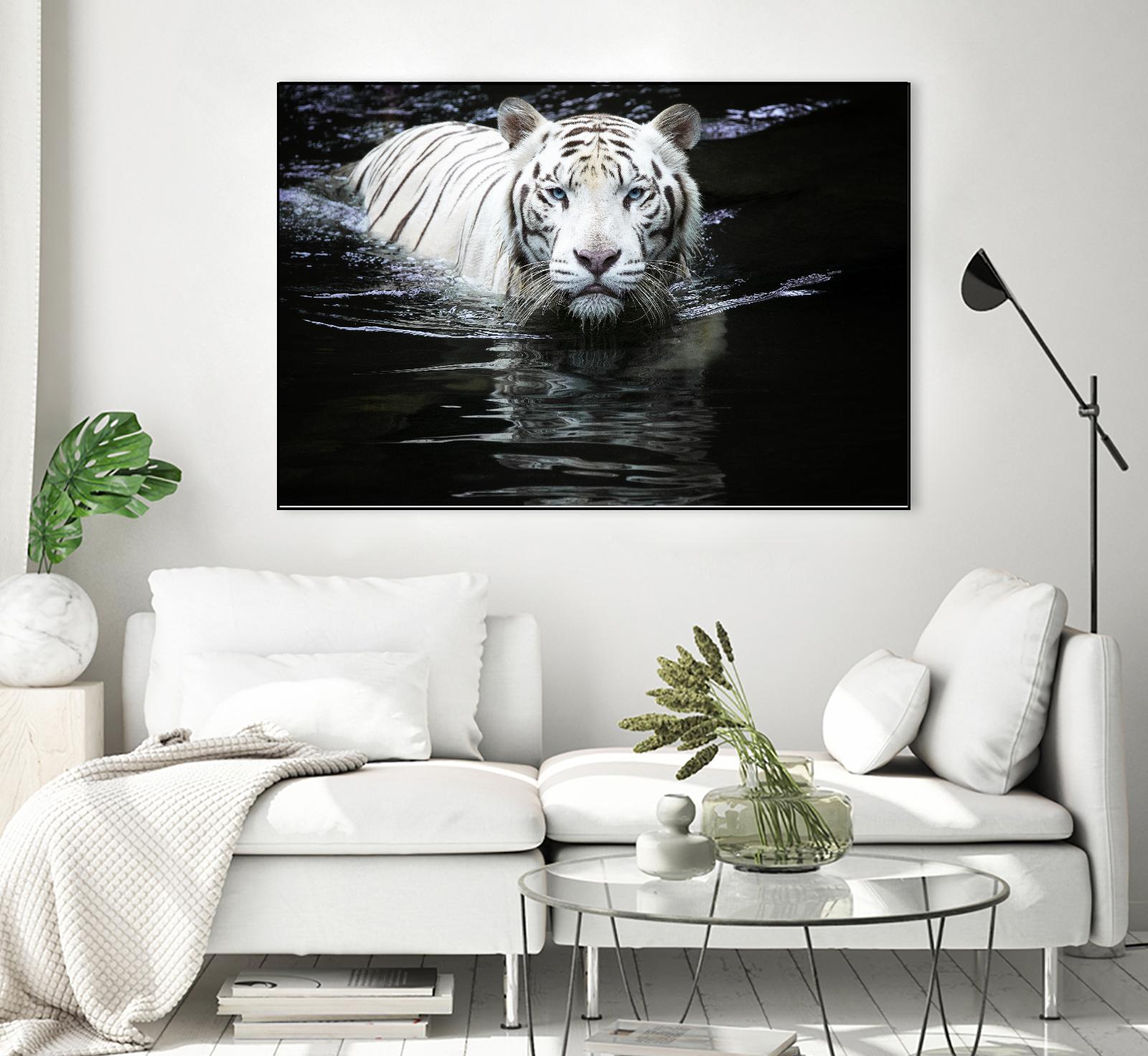 Doyle - Looking at Me Looking at You by 1X on GIANT ART - white photo art