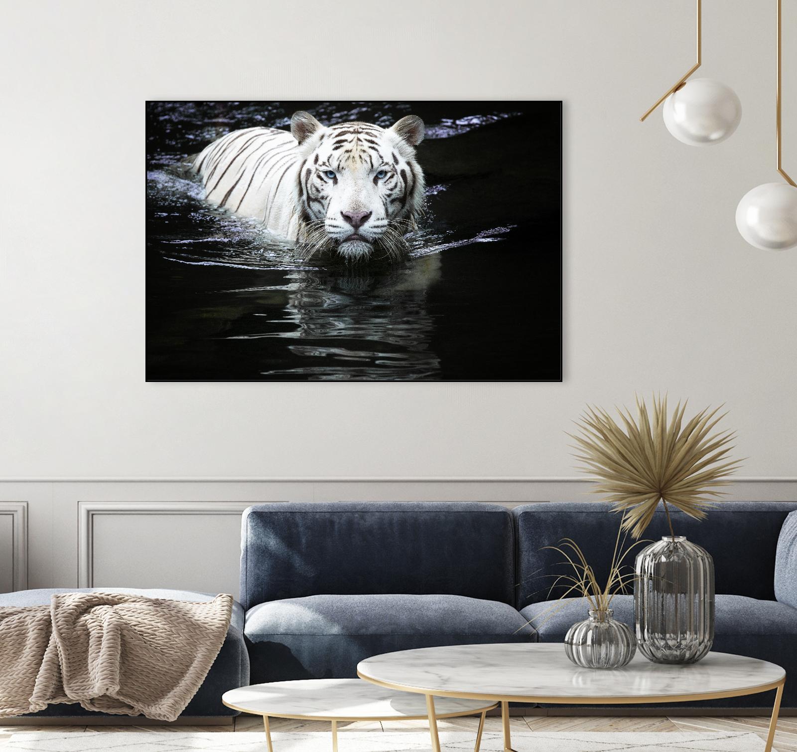 Doyle - Looking at Me Looking at You by 1X on GIANT ART - white photo art